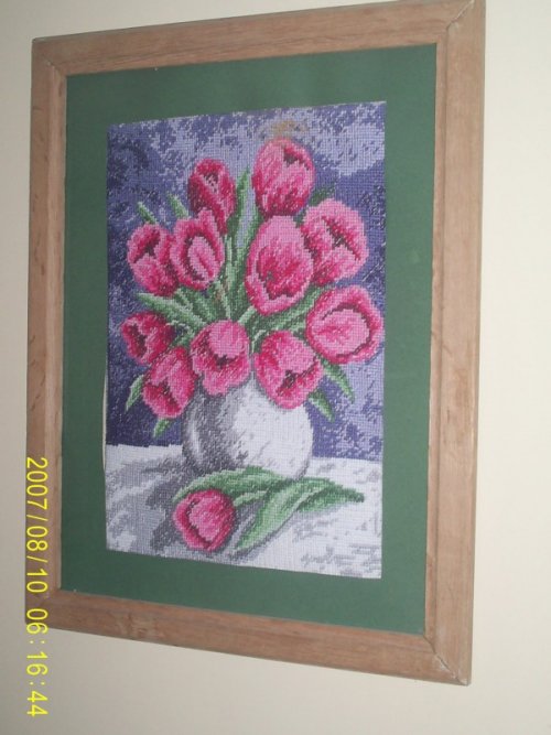 tulipany