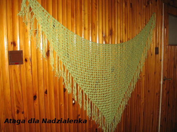 Ataga dla Nadzialenka